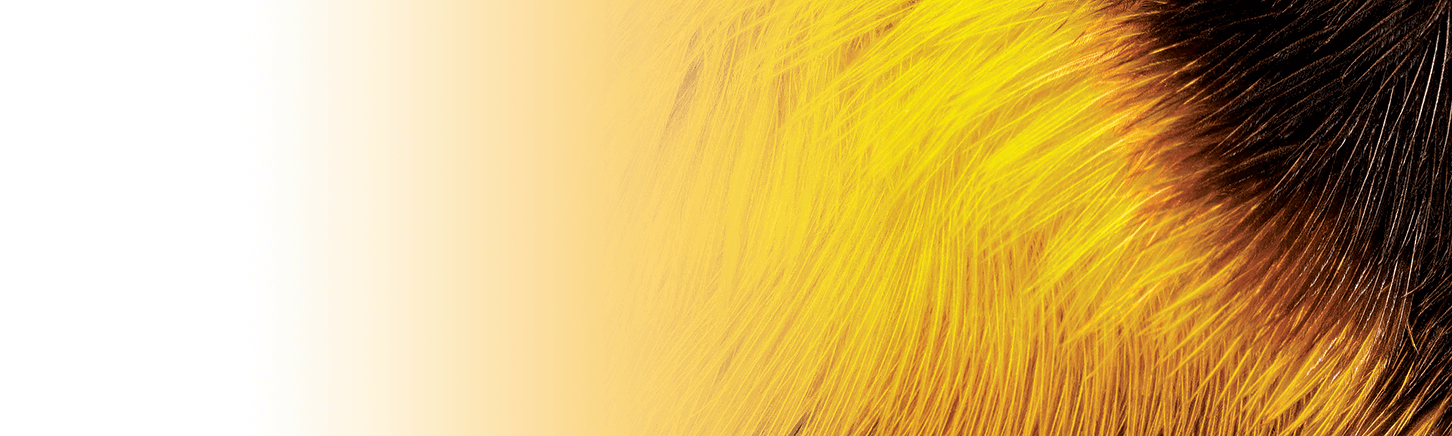 curve2